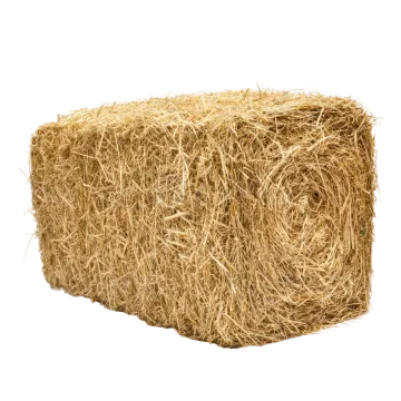 a roll of hay on a white background