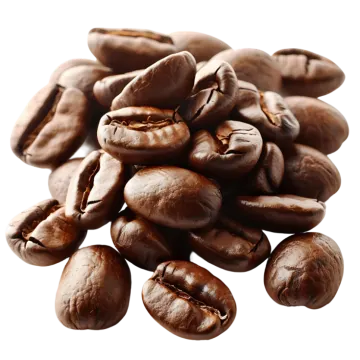 coffee beans on a white background