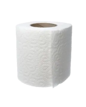 a roll of toilet paper