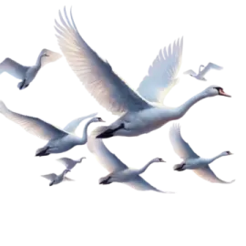 a group of birds flying in the sky