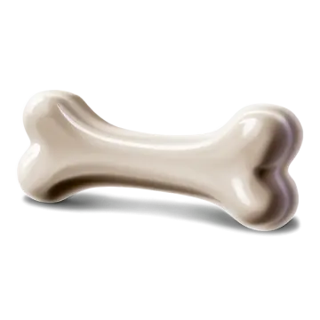 A bone on a white background