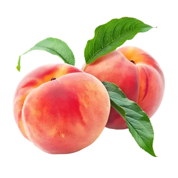 two peaches with green leaves