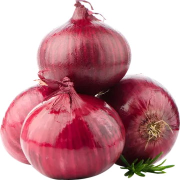 three red onions on a white background
