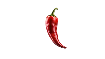 a red chili pepper on a white background