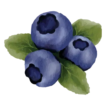 a bunch of blueberries with green leaves