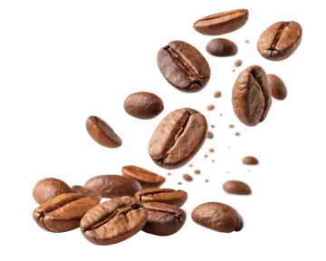 coffee beans falling on a white background