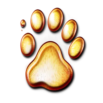 a paw print of an animal's paw