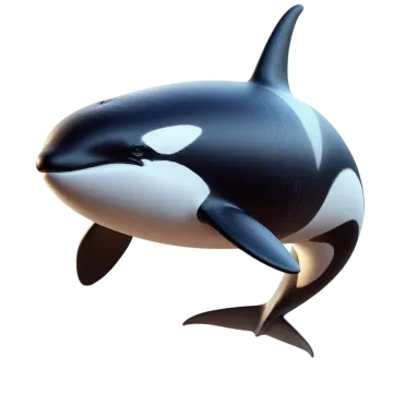 an orca in the air with a white background