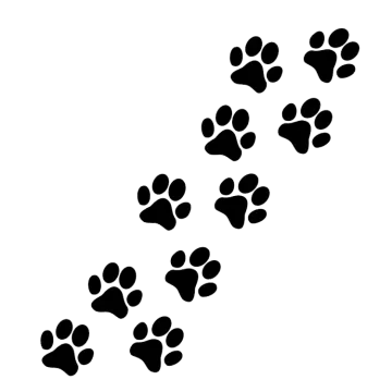 a black and white image of paw prints