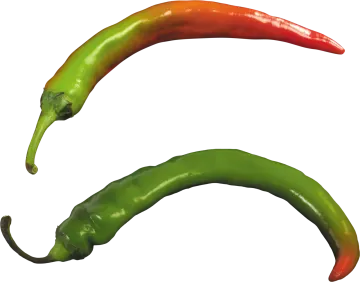 red and green peppers