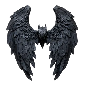 two black wings on a white background