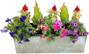 a metal planter filled with colorful flowers