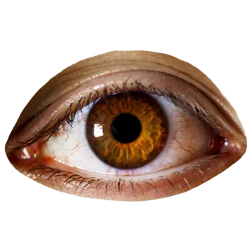 a close up view of a human eye