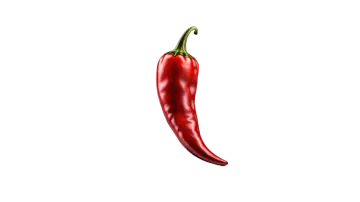 a red chili pepper on a white background