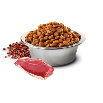 a bowl filled with nuts and meat