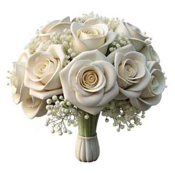 a bouquet of white roses on a white background
