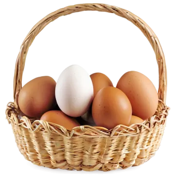 a basket of eggs on a white background