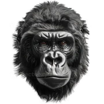 a black and white drawing of a gorilla face