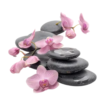 a pile of black stones with pink orchids on top