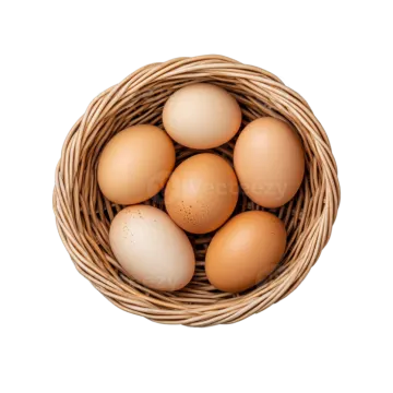 eggs in a basket on white background