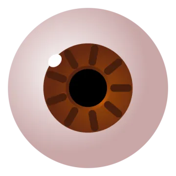 an image of a chocolate donut