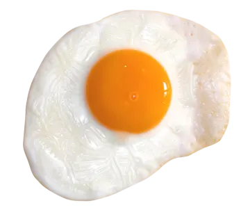 an egg on a white background