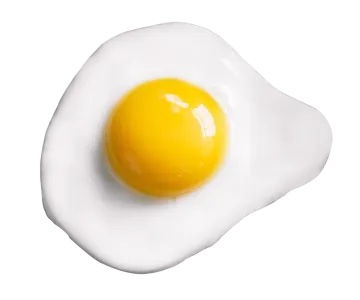 a fried egg on a white background