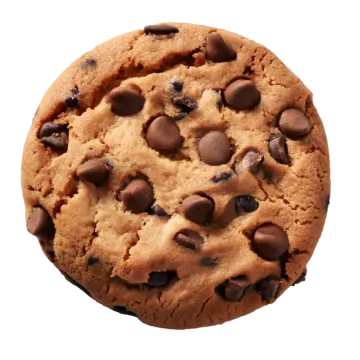 a chocolate chip cookie on a white background