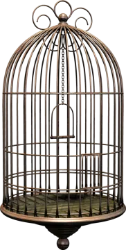 a bird in a cage on a white background