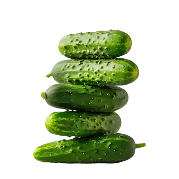 a stack of pickles on a white background