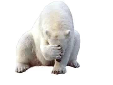 a polar bear standing on its hinds