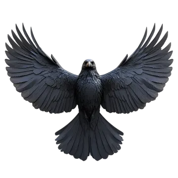 a black bird with its wings spread out