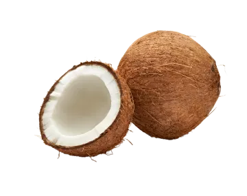 two halves of coconut on a white background