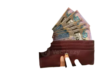 a woman holding a wallet full of money
