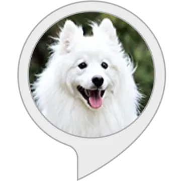 a white dog with its mouth open and tongue out