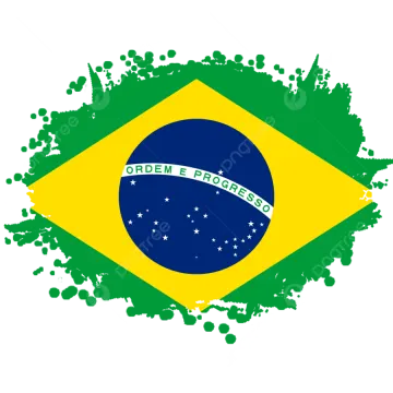 the flag of brazil