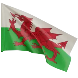 a flag with a red dragon on it