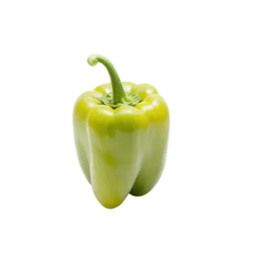 a green pepper on a white background