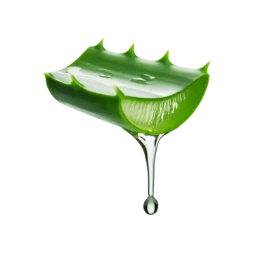 a green leaf with water drops on it