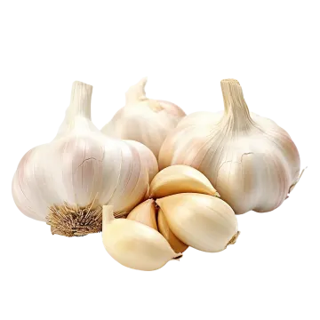 a bunch of garlic on a white background