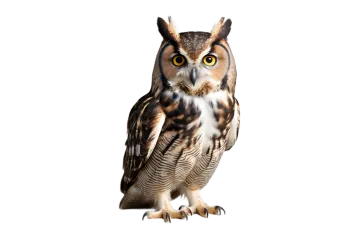 an owl is sitting on a white surface