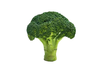 a close up of a piece of broccote