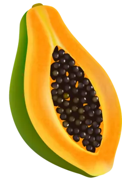 A half of papa with seeds on it