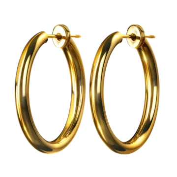 a pair of gold hoop earrings