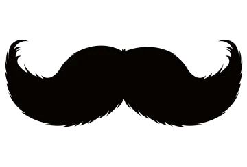 a black and white silhouette of a mustache