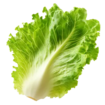 a close up of a green leafy vegetable