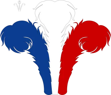 a red, white and blue elephant head