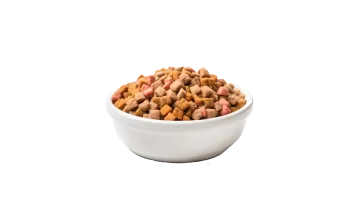 a bowl of dog food on a white background