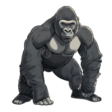vector illustration of a gorilla