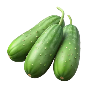 three green cus on a white background